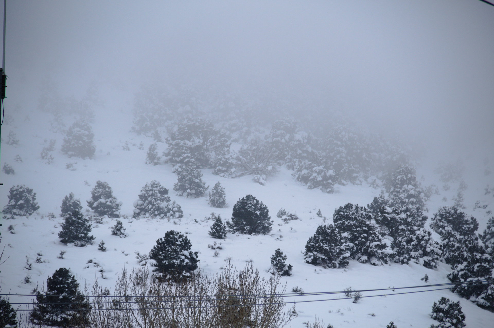 2025 Winter trip