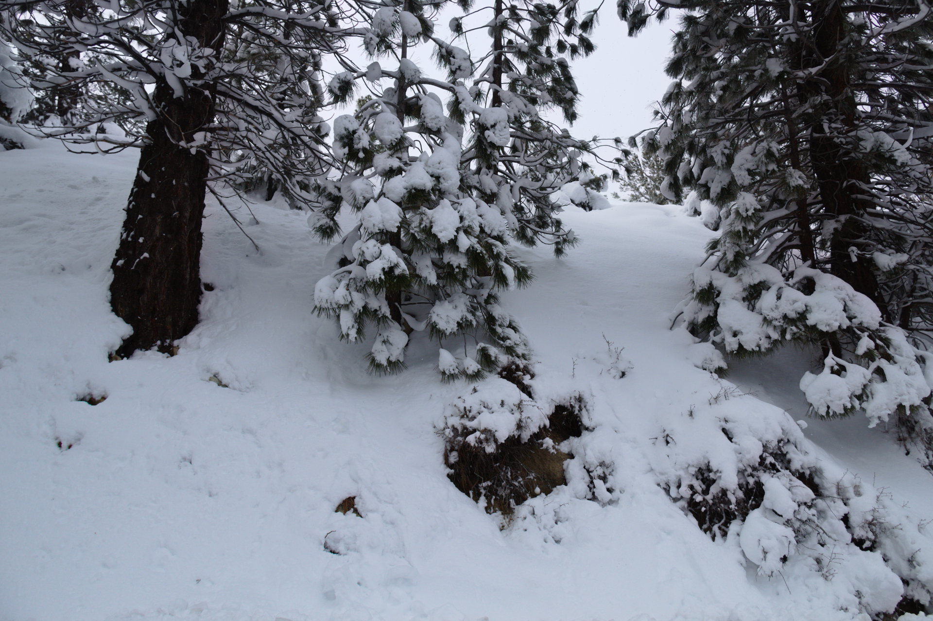 2025 Winter trip