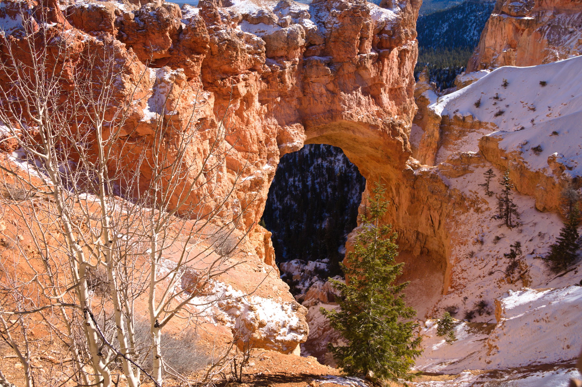 2025 Winter trip