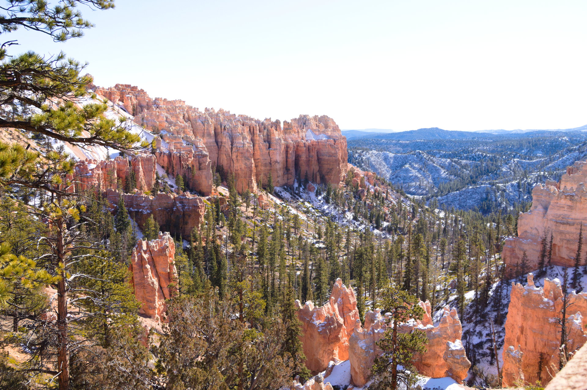 2025 Winter trip