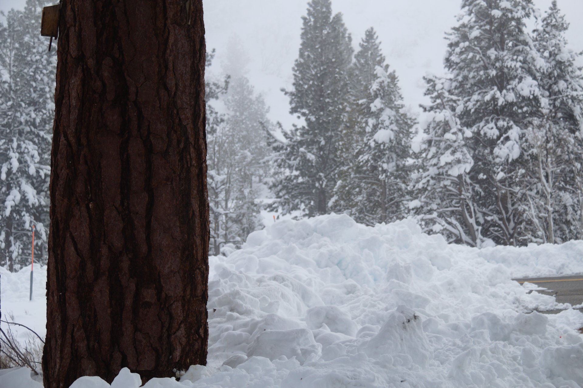 2025 Winter trip