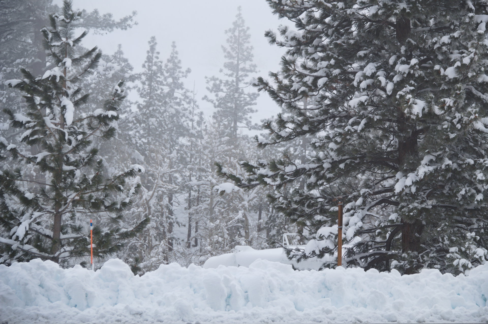 2025 Winter trip