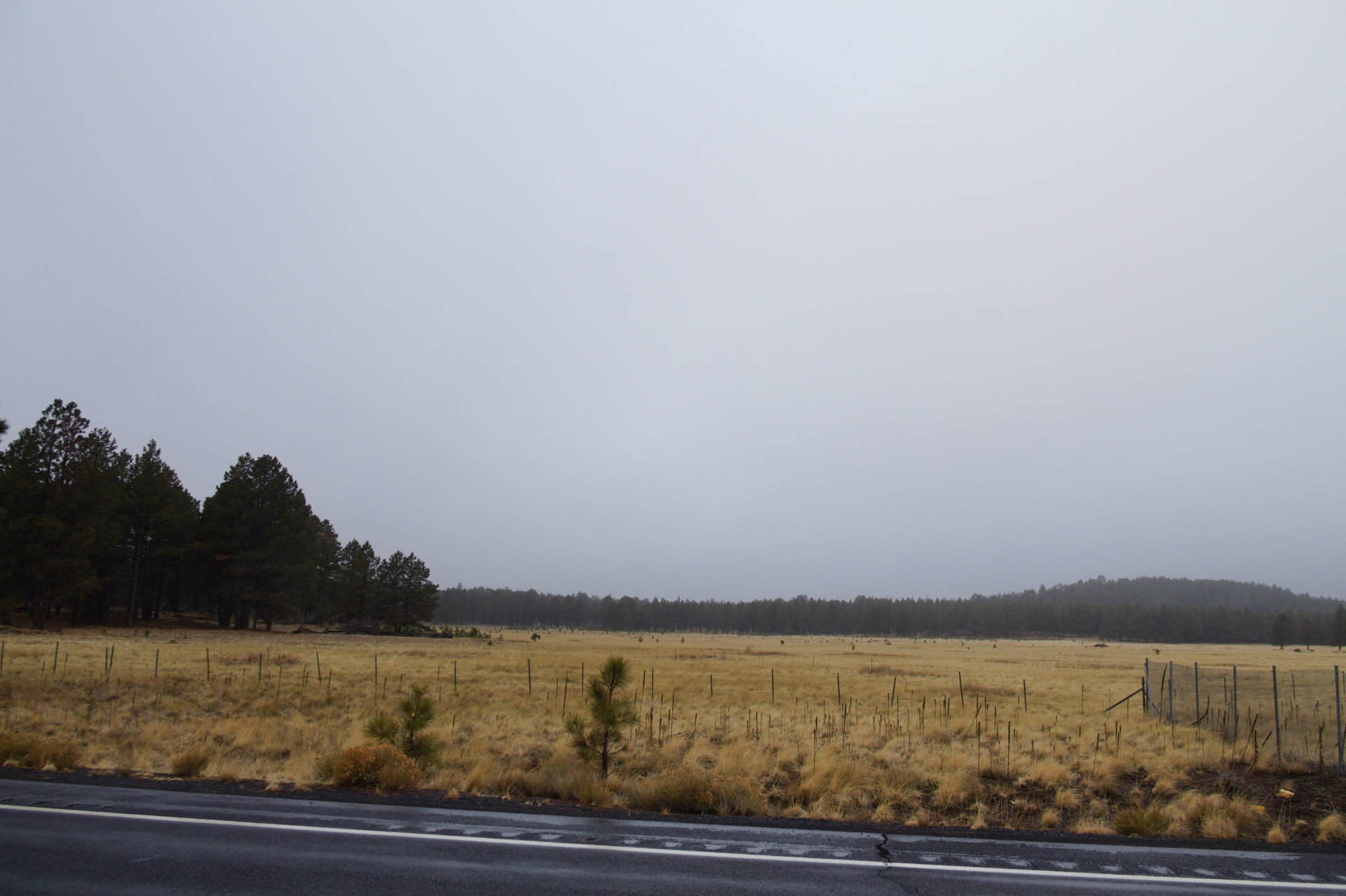 2025 Winter trip