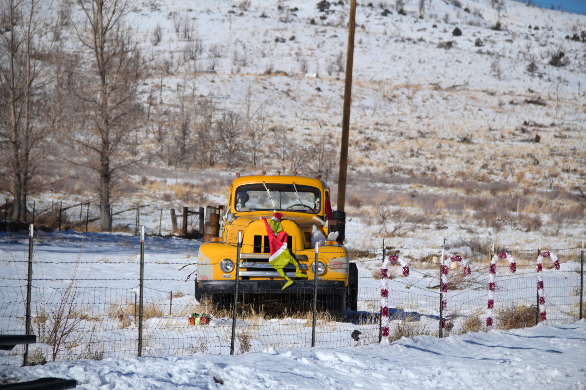 2025 Winter trip
