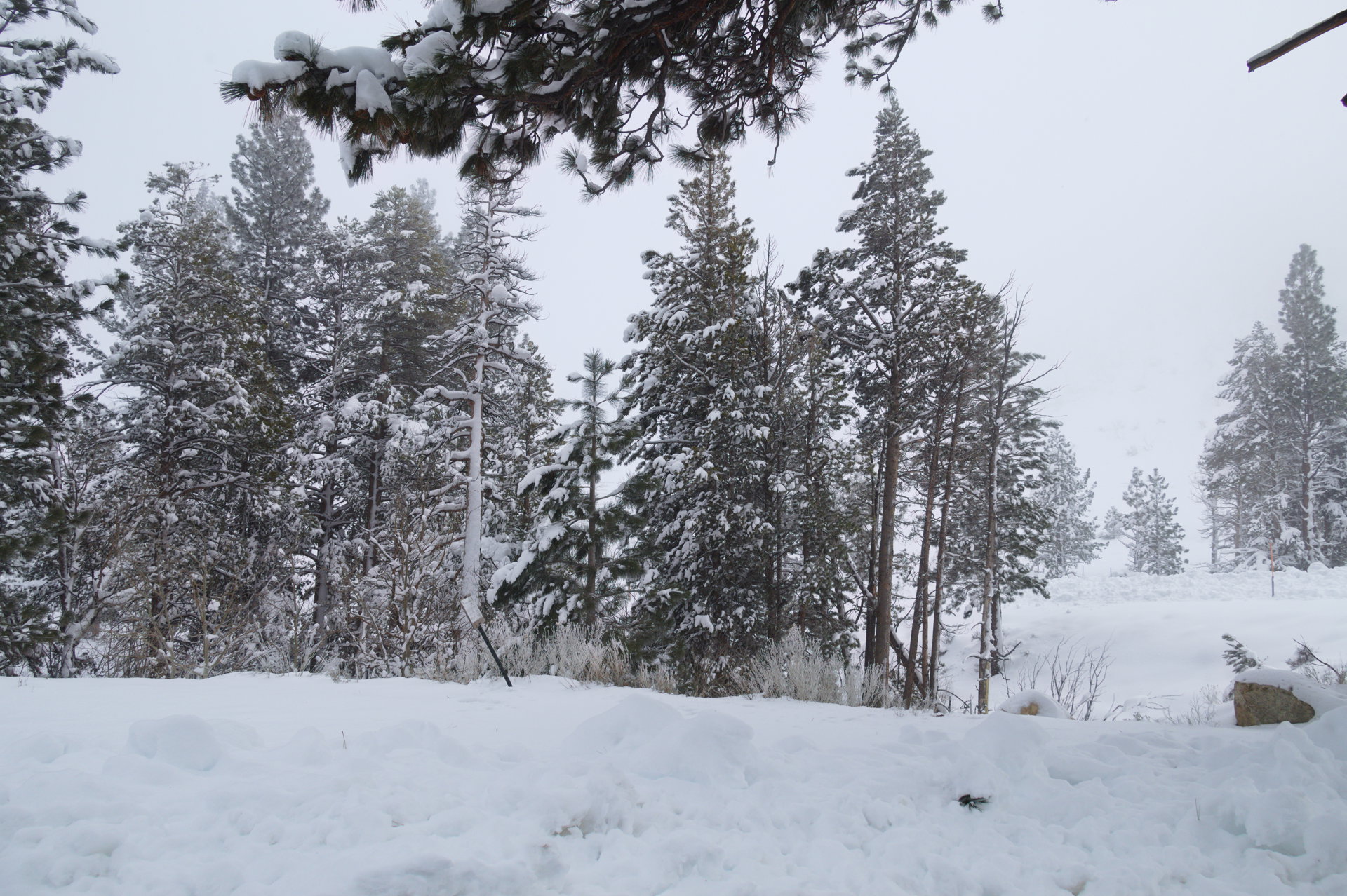 2025 Winter trip