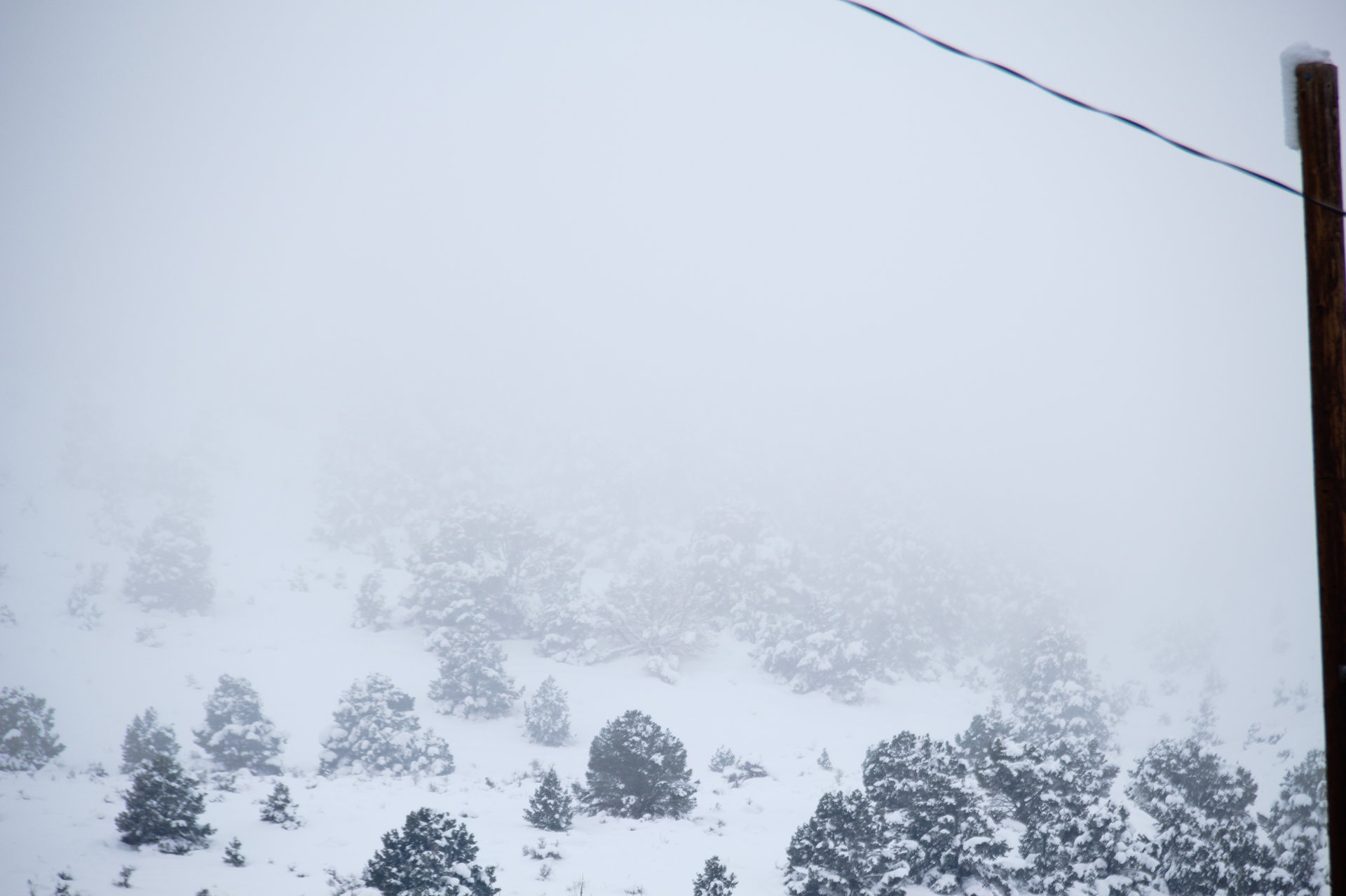 2025 Winter trip