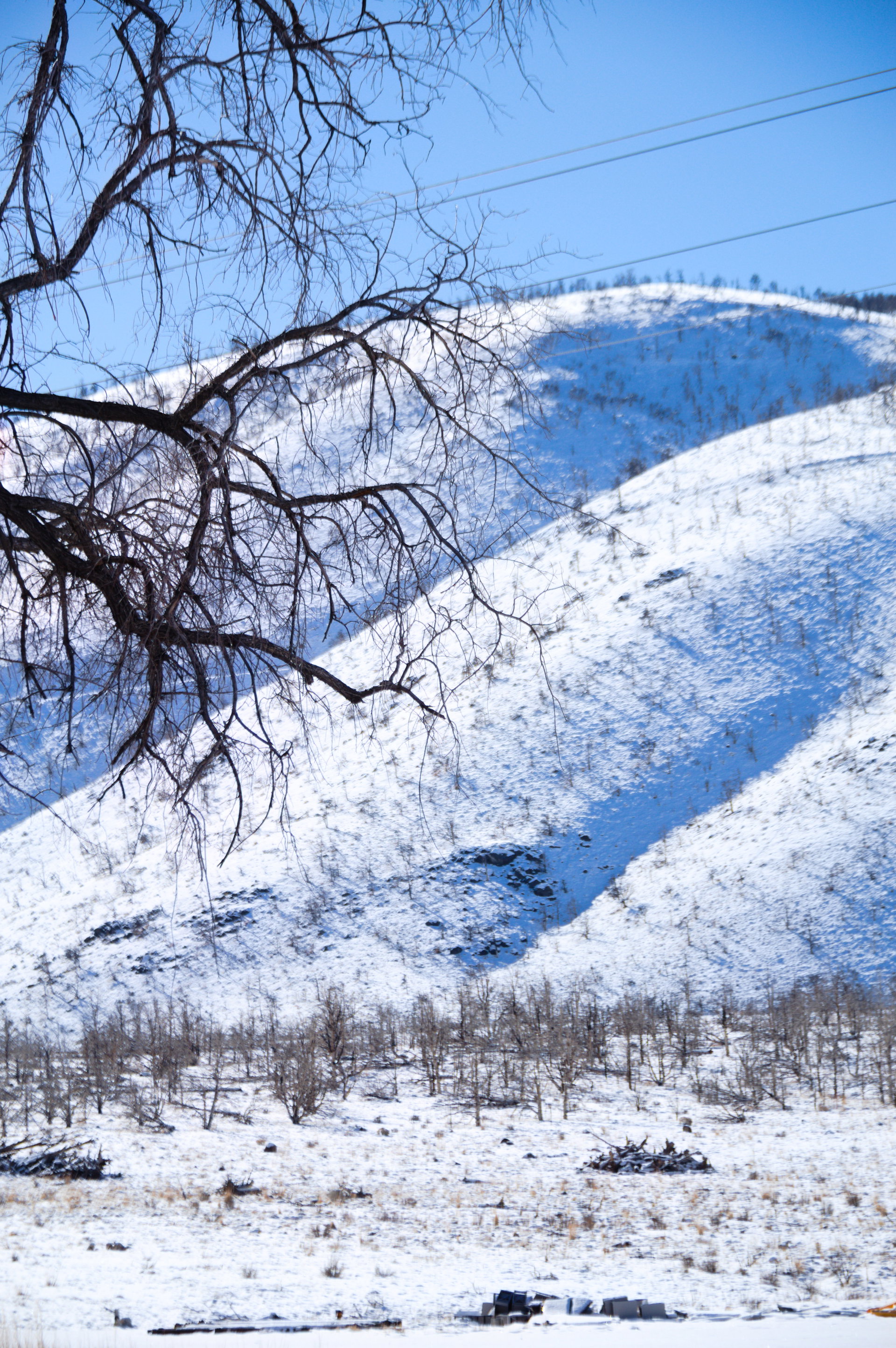 2025 Winter trip