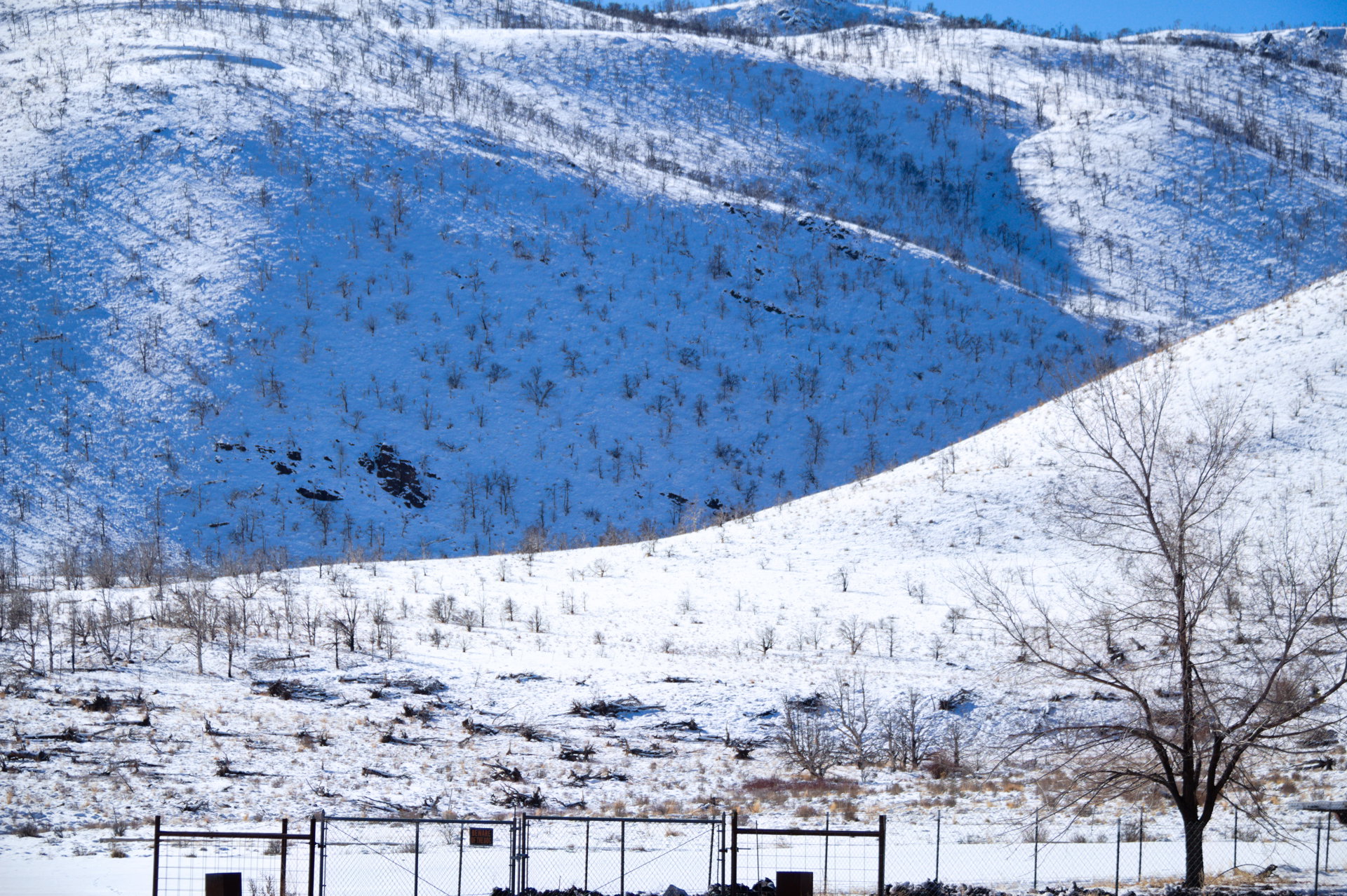 2025 Winter trip