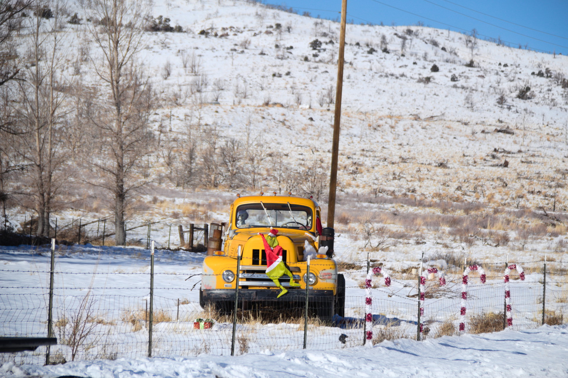 2025 Winter trip