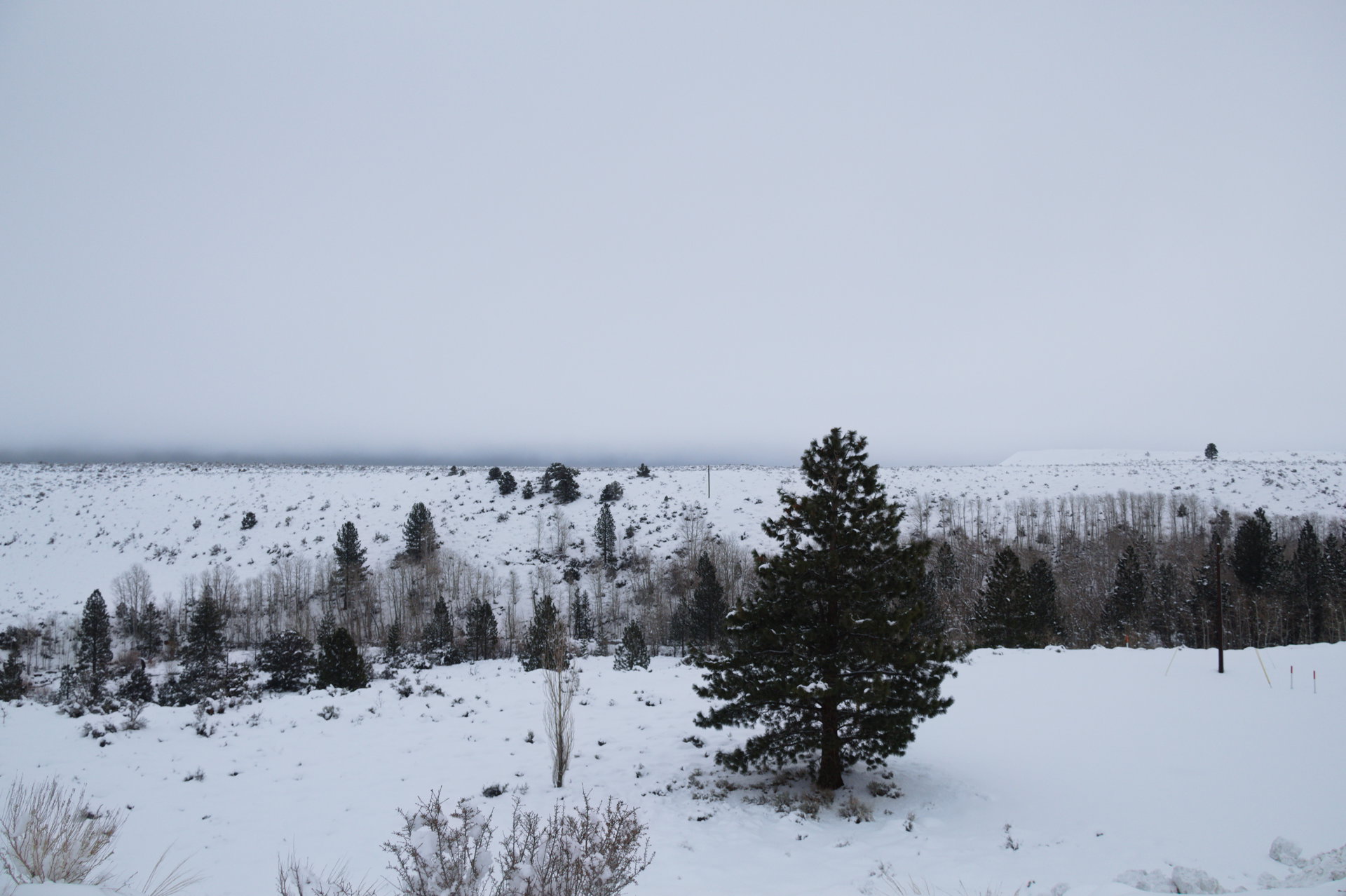 2025 Winter trip