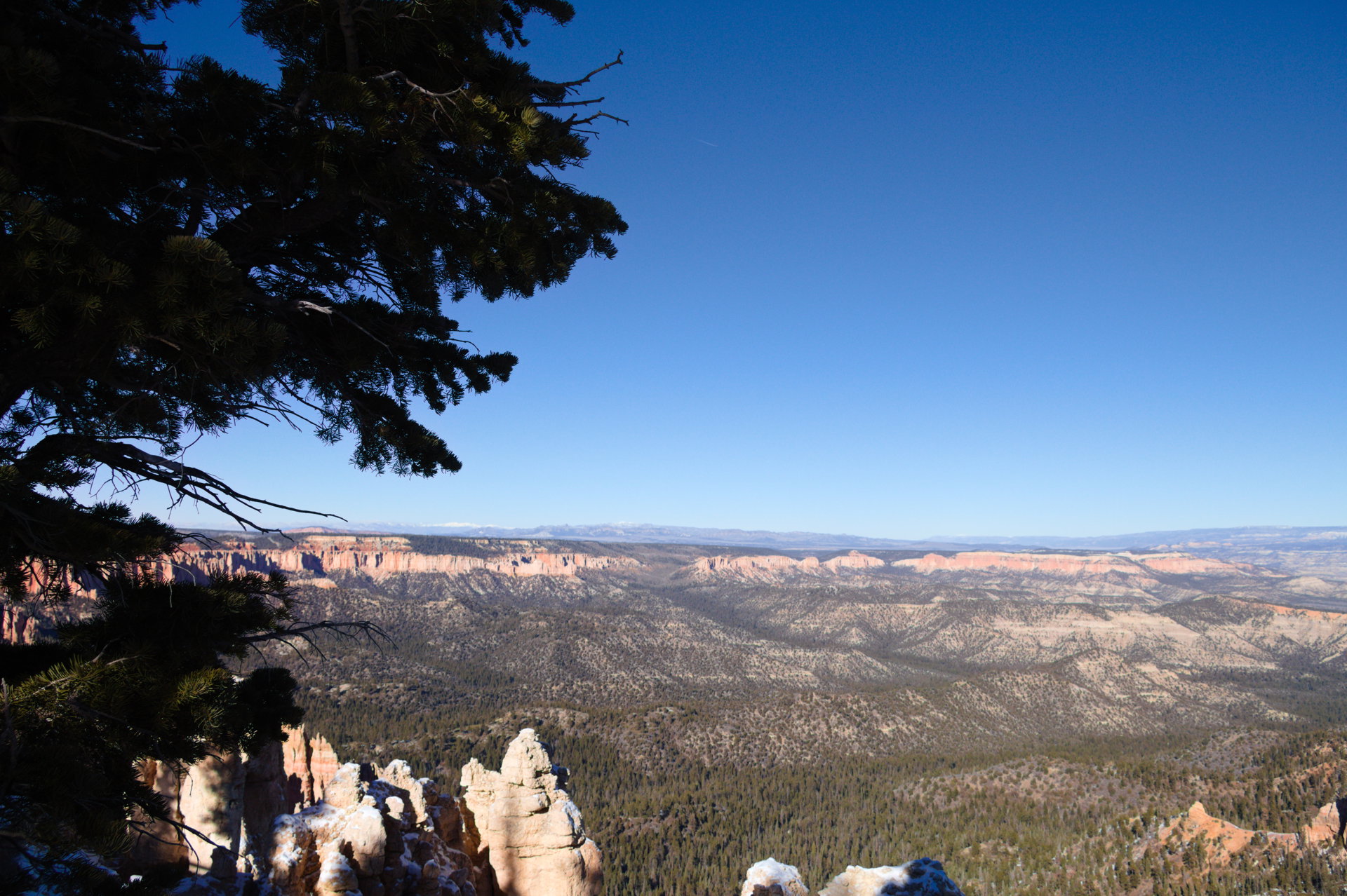 2025 Winter trip