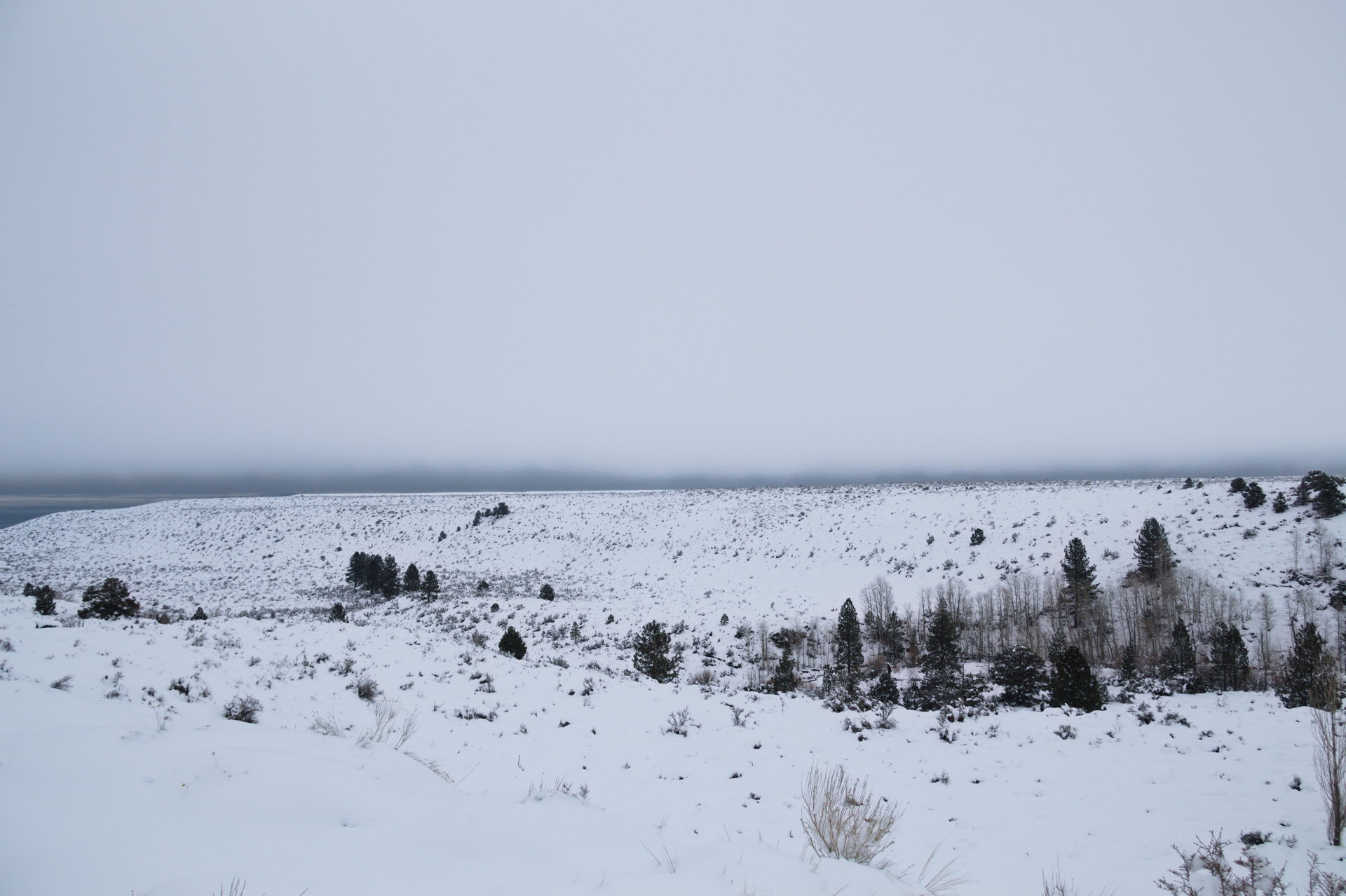 2025 Winter trip
