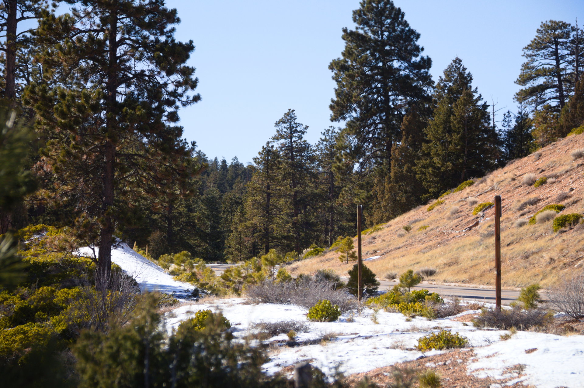 2025 Winter trip